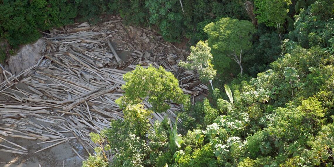 Amazonas registrou o maior aumento da devastação em março — Arquivo/Agência Brasil