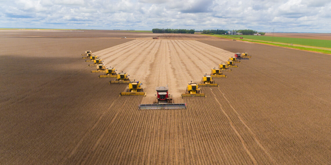 PIB do agronegócio em Minas Gerais bate recorde de R$ 205 bilhões em 2022