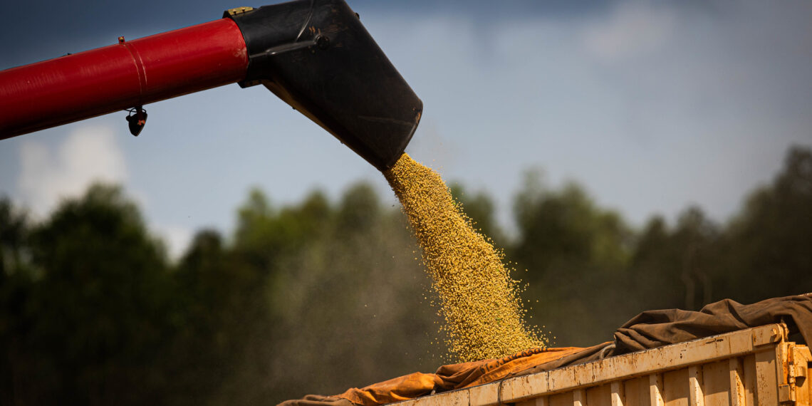 Impulsionado pelo agro, PIB do Brasil sobe 1,9% no 1º trimestre, produção de soja, agronegócio