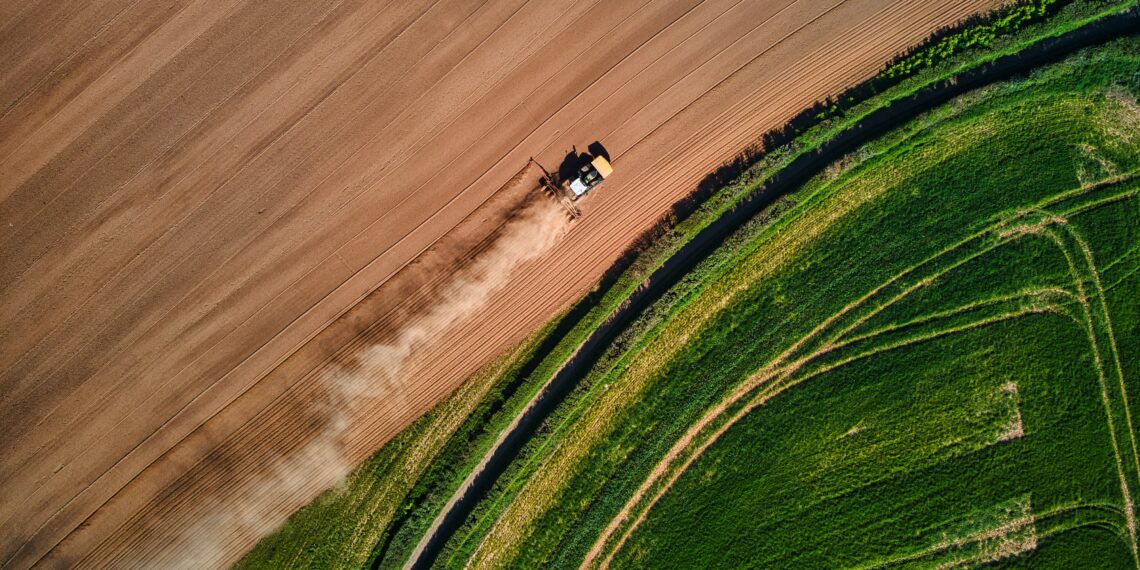 Marco Temporal: Decisão do Supremo coloca em risco 24 mil hectares no oeste do Paraná 1