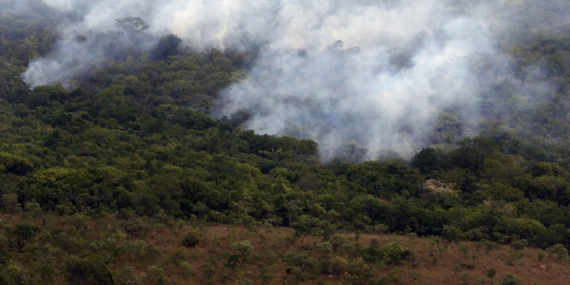Silêncio perante as devastadoras queimadas na Amazônia em 2023 chama a atenção