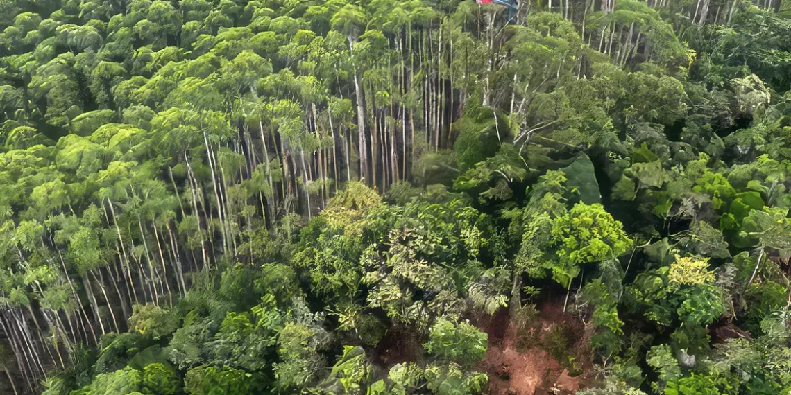 Corpos de ocupantes de helicóptero são encontrados junto aos destroços 1