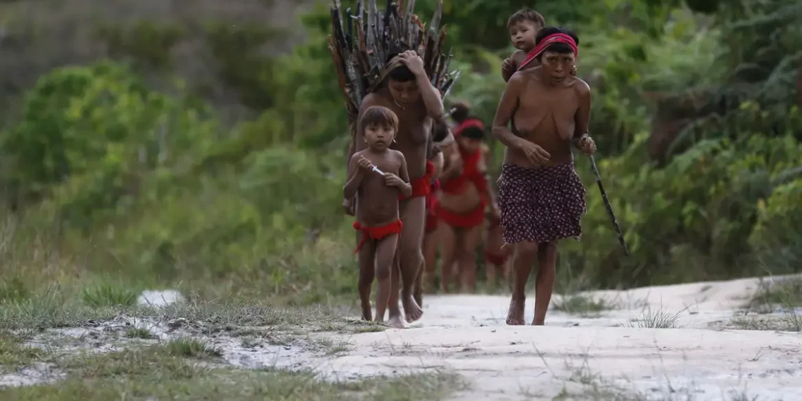 Yanomamis vivem desnutrição, avanço da malária, mortes e crescimento do garimpo ilegal 1