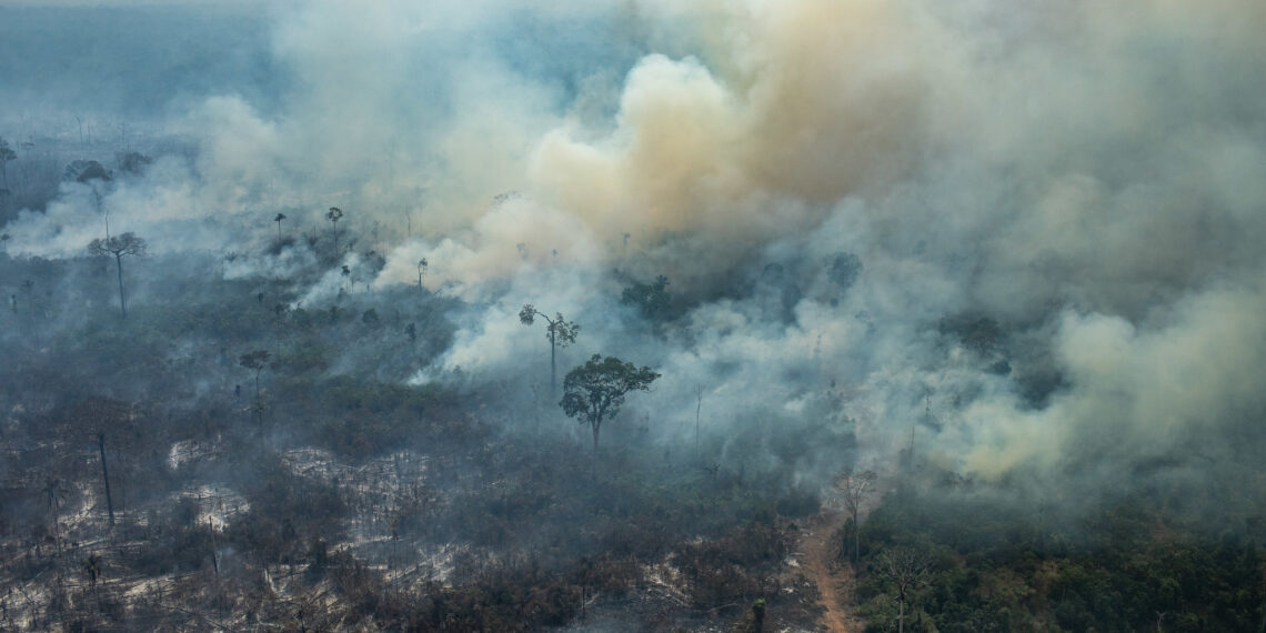 Victor Moriyama | Greenpeace