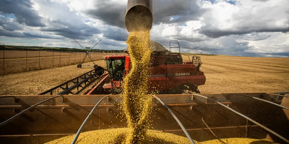 Veja os riscos que o agronegócio brasileiro pode enfrentar sem acordo do Mercosul com União Europeia