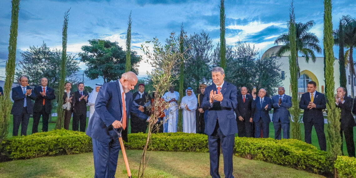 Ao plantar pé de Oliveira, que dá azeitonas, Lula pergunta quando nascem as uvas 1