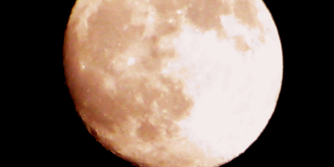Foto: RCP/Medea