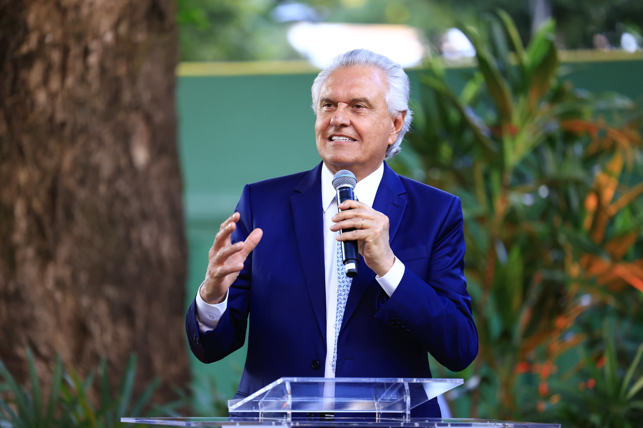Goiás autoriza novas 3,2 mil moradias sem custo para famílias 2 Goiás autoriza novas 3,2 mil moradias sem custo para famílias 1